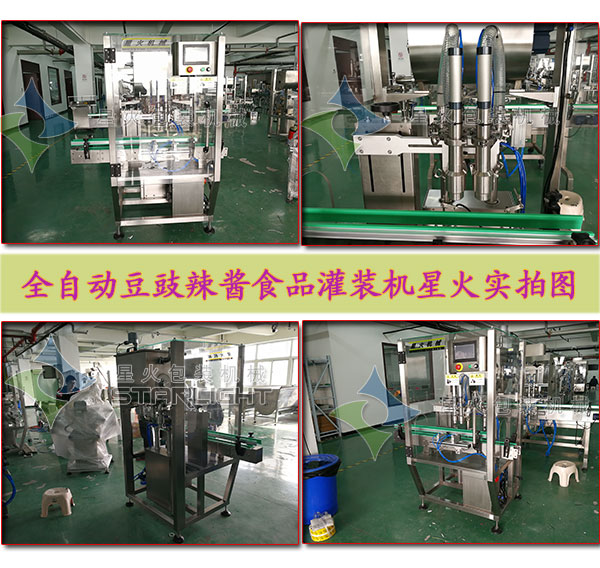 豆豉辣酱食品灌装机