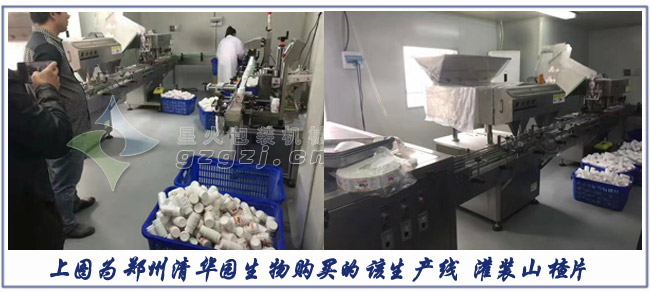 全自动数粒灌装生产线